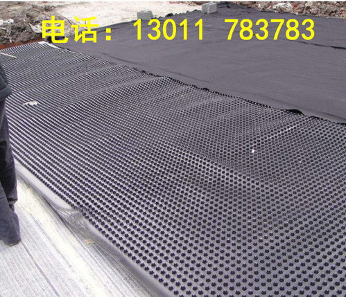 2022歡迎 洛陽12mm厚蜂窩型塑料排水格片包頭 集團公司